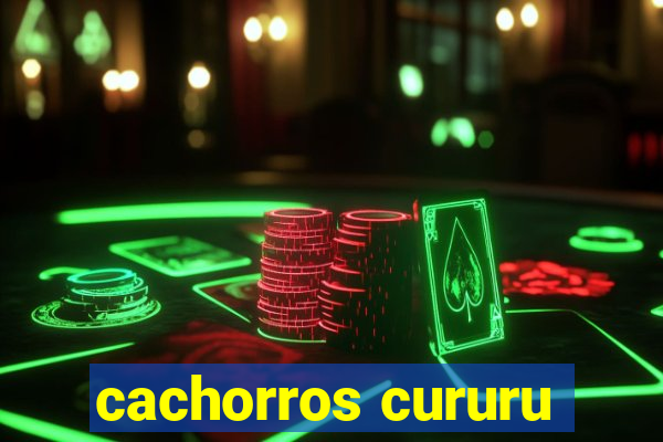 cachorros cururu